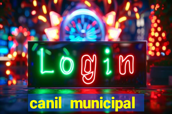 canil municipal porto alegre